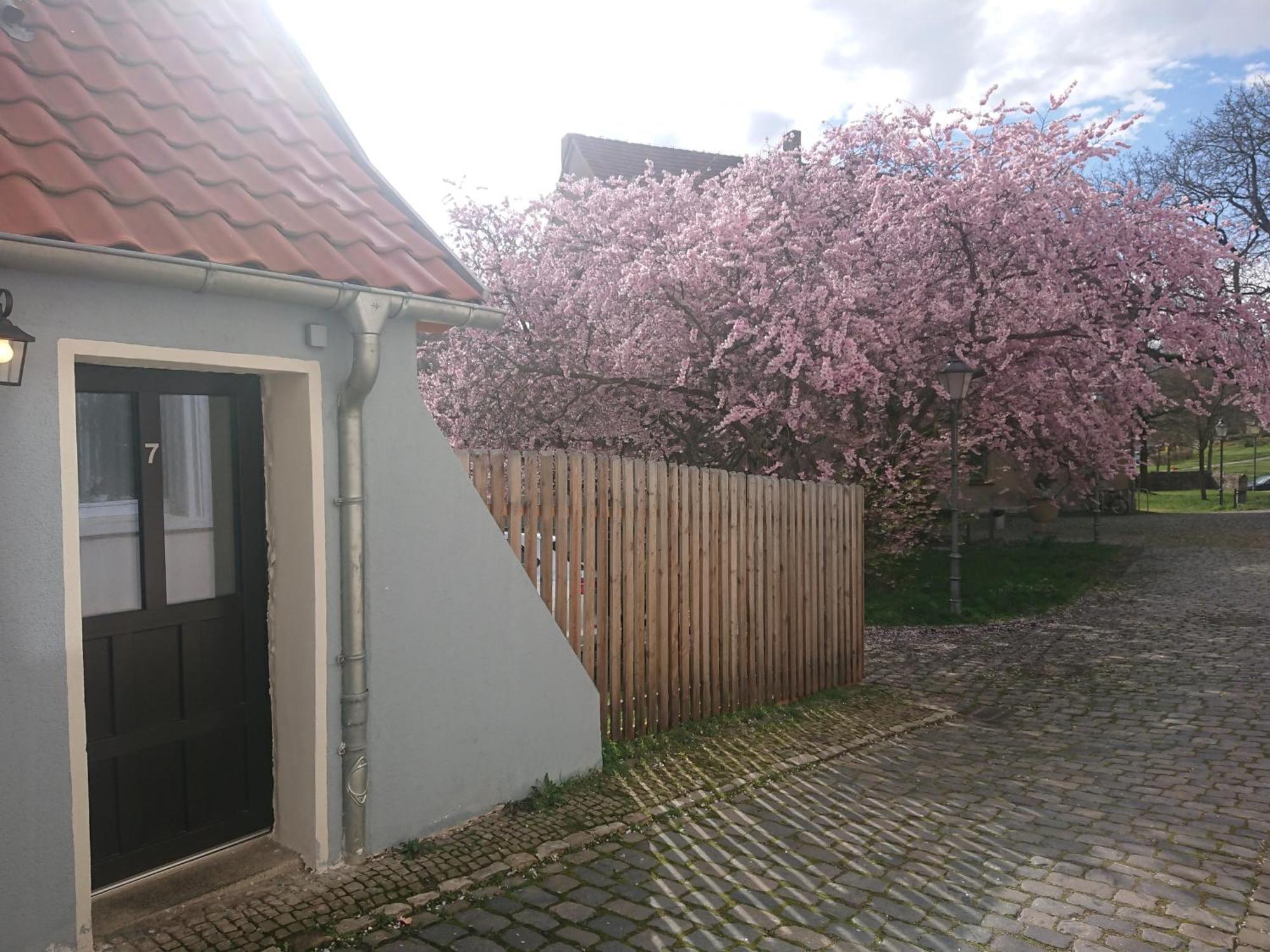 Ferienhaus Aschersleben Buitenkant foto